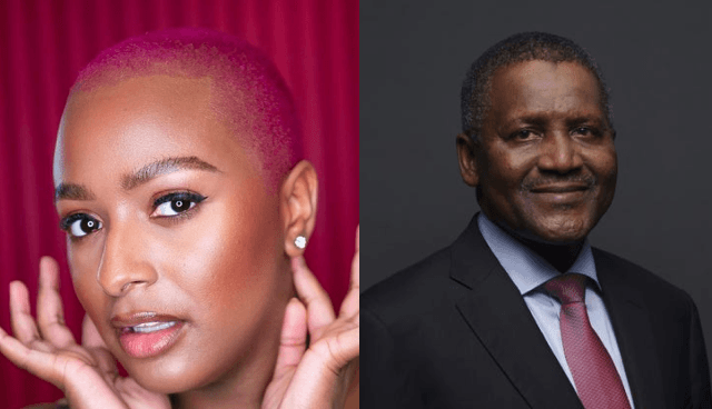 Photo of  DJ Cuppy and Dangote [sourece:instagram]