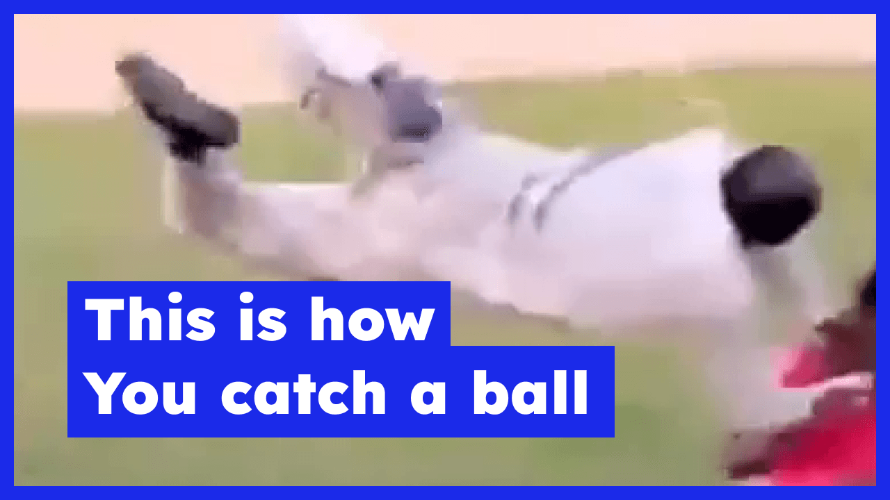 Flying Coach: A professional coach showing the players how to catch a ball